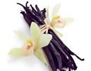 Body Butter VANILLA BEAN - 793 gr. Dose ++RESTBESTAND++
